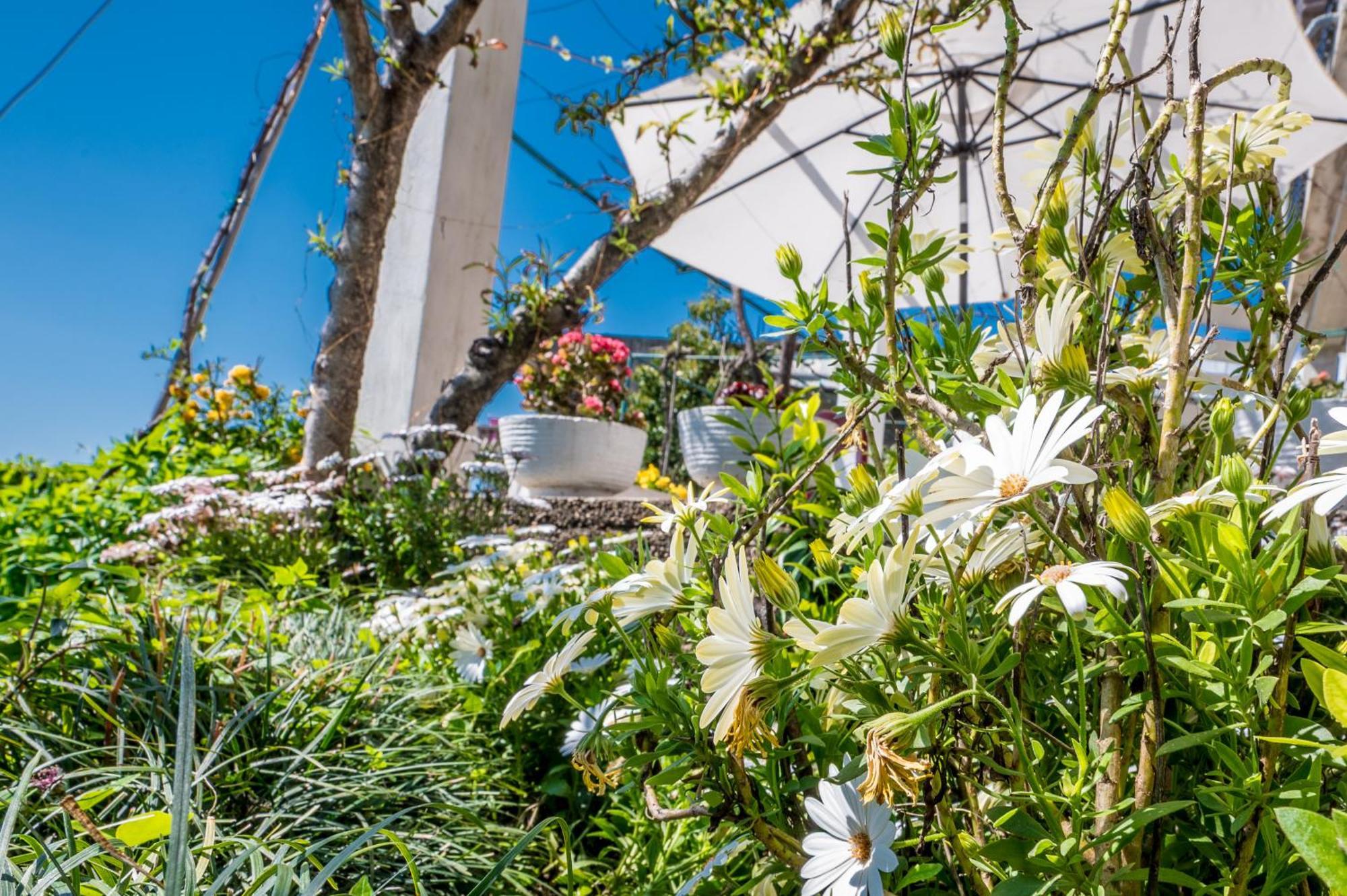 Apartment Lana Tivat Zewnętrze zdjęcie